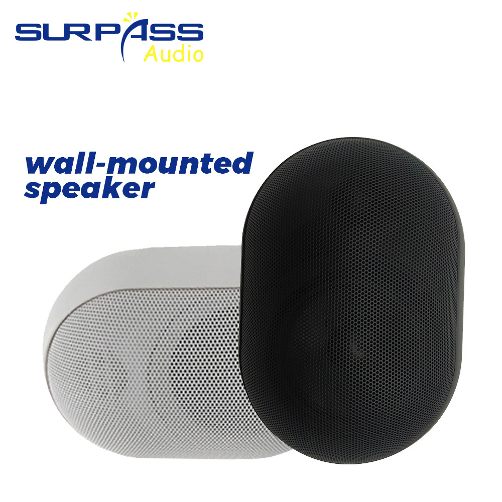 Wall Mount Speaker - Altoparlante da parete da 30 W