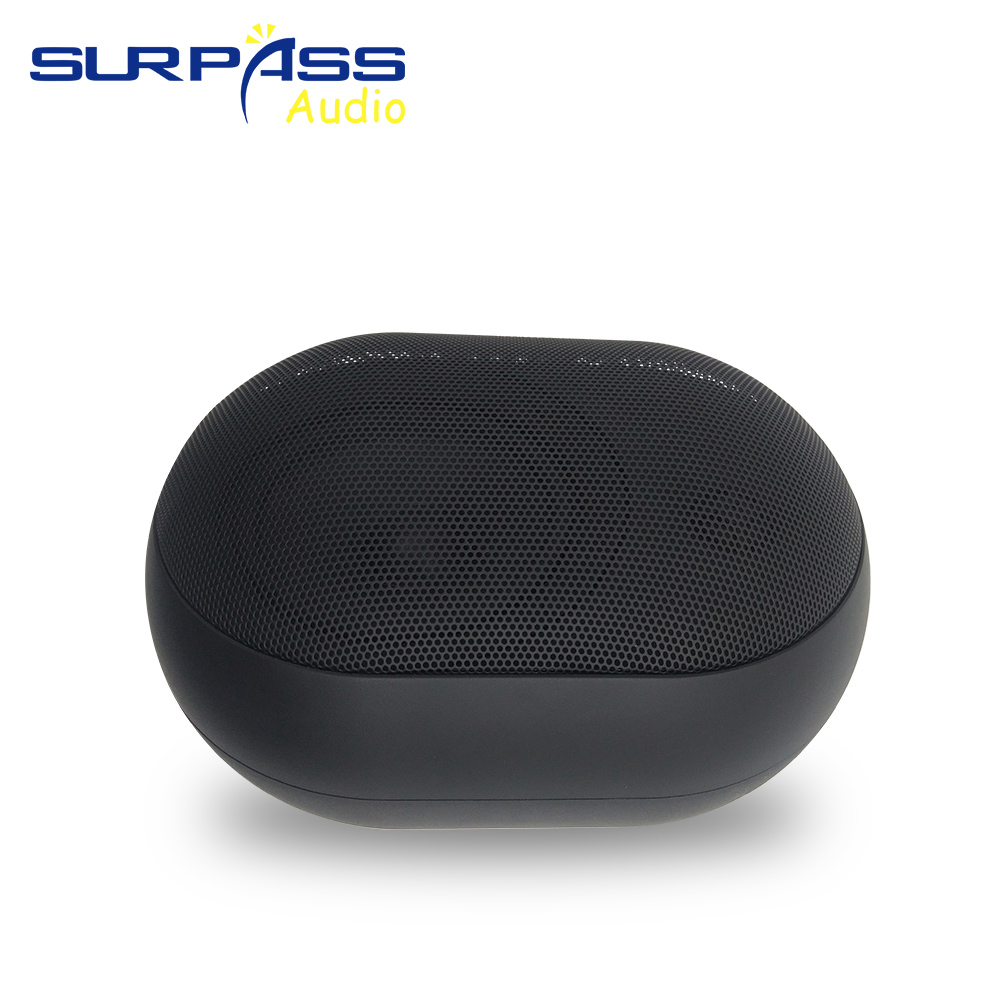 Altoparlante da parete da 30 W - Wall Mount Speaker recensione e prezzo
