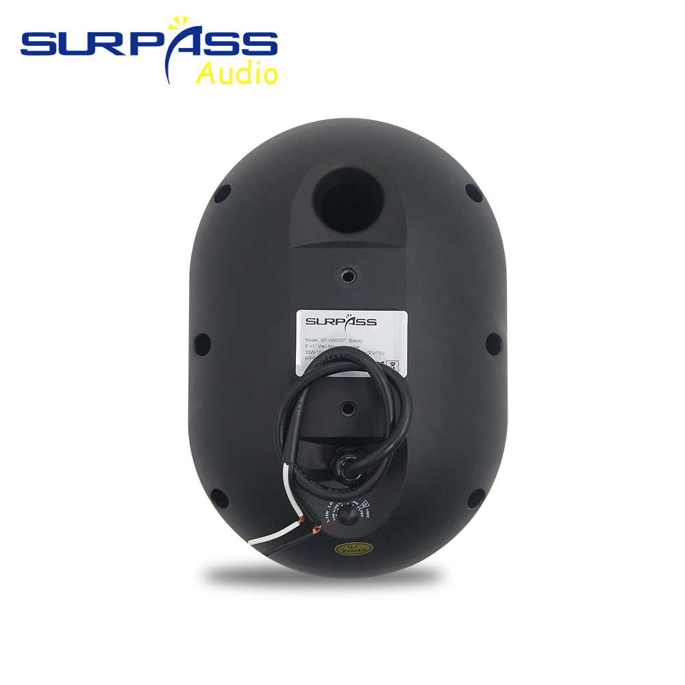 Altoparlante da parete da 30 W - Wall Mount Speaker recensione e prezzo