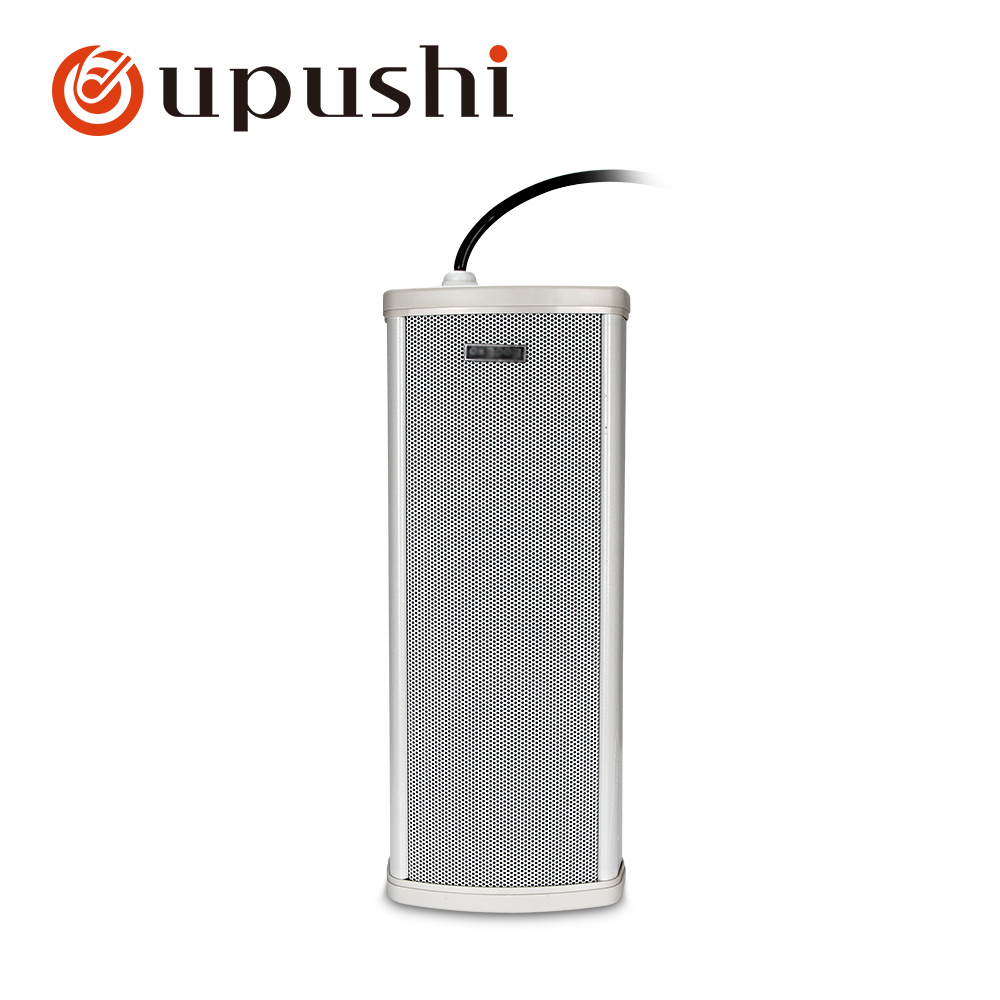 Oupushi altoparlanti da estern - Wall Mount Speaker recensione e prezzo